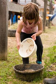 feeding grain